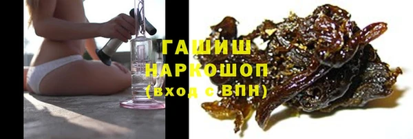 дмт Богданович