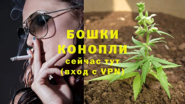 MESCALINE Белокуриха