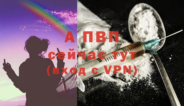 MESCALINE Белокуриха
