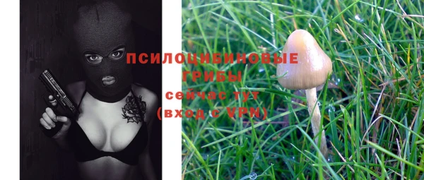 винт Белоозёрский