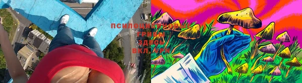 молекула духа Беломорск