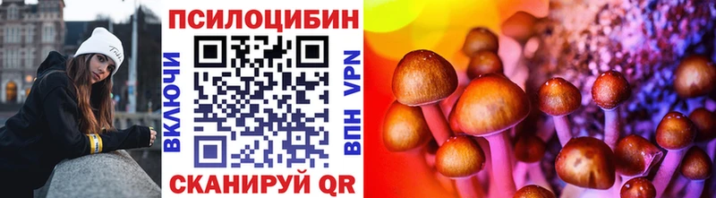 Псилоцибиновые грибы Psilocybe  наркота  Верхотурье 